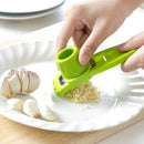 Stainless Steel Garlic Press