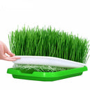 Double-Layer Seed Nursery Pots