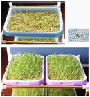Double-Layer Seed Nursery Pots